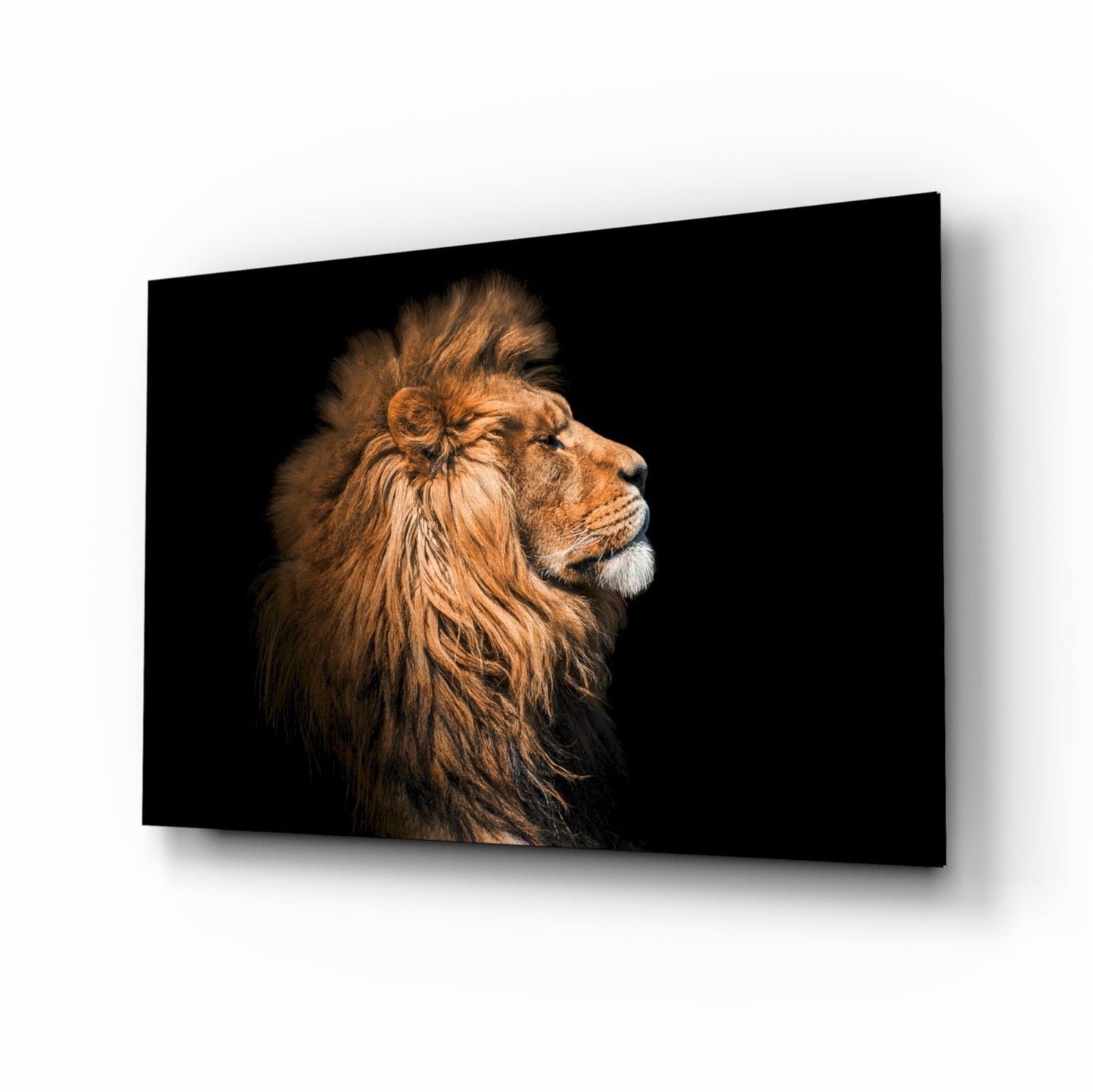 Aslan Cam Tablo