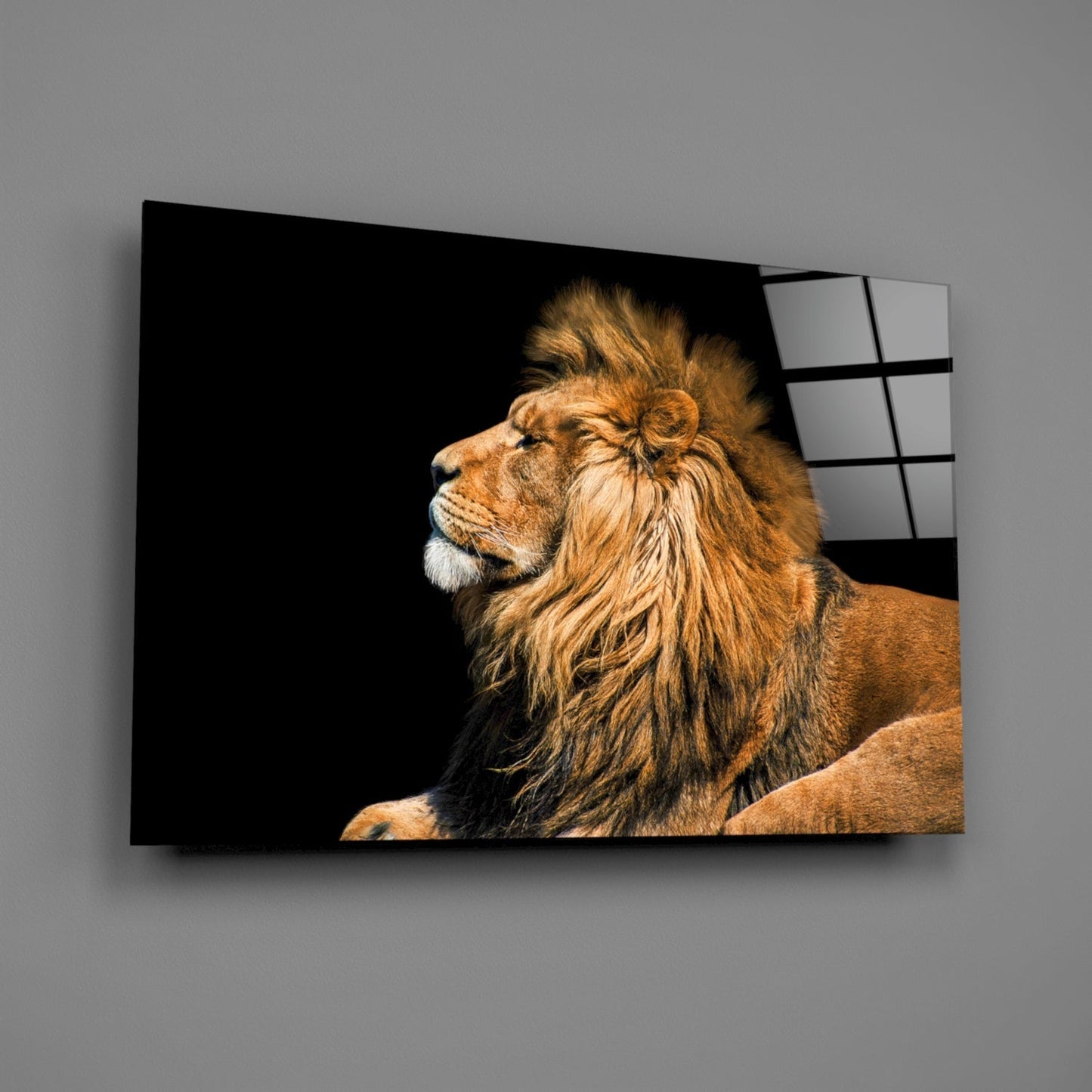 Aslan Cam Tablo