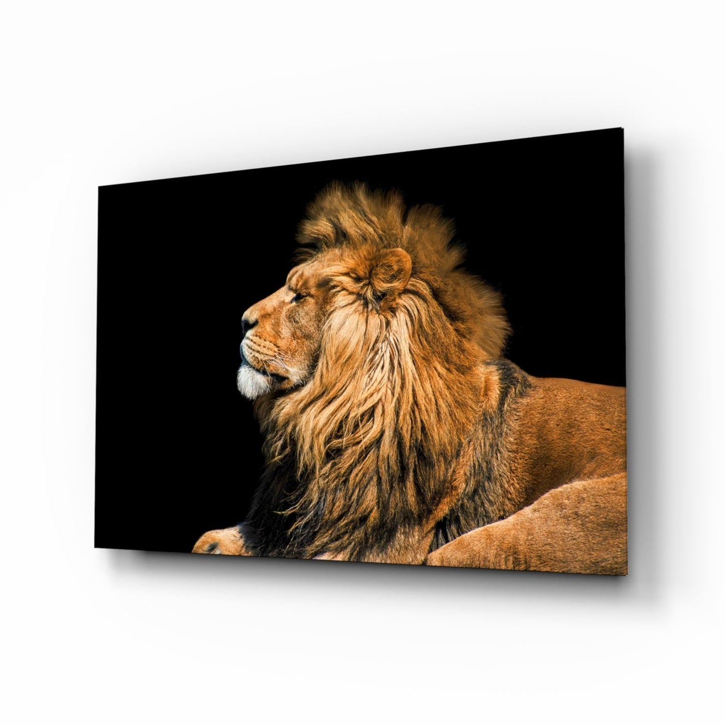 Aslan Cam Tablo