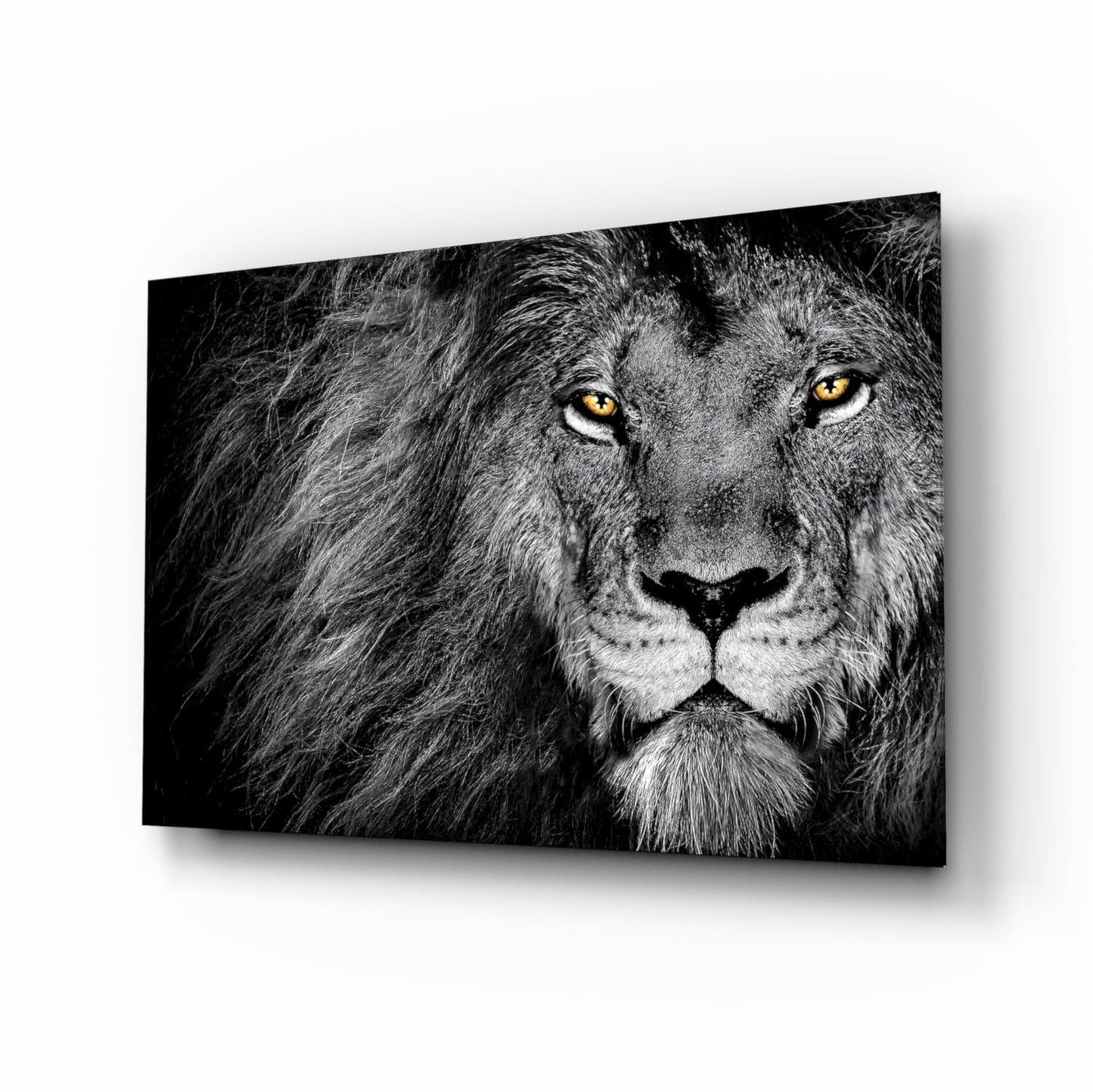 Aslan Cam Tablo