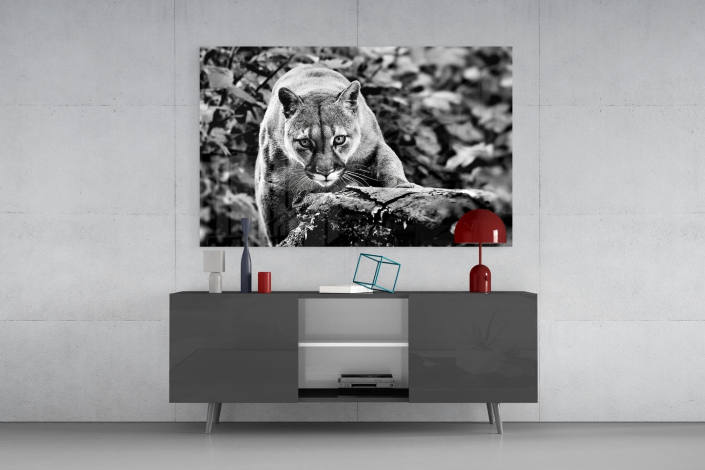 Puma Cam Tablo