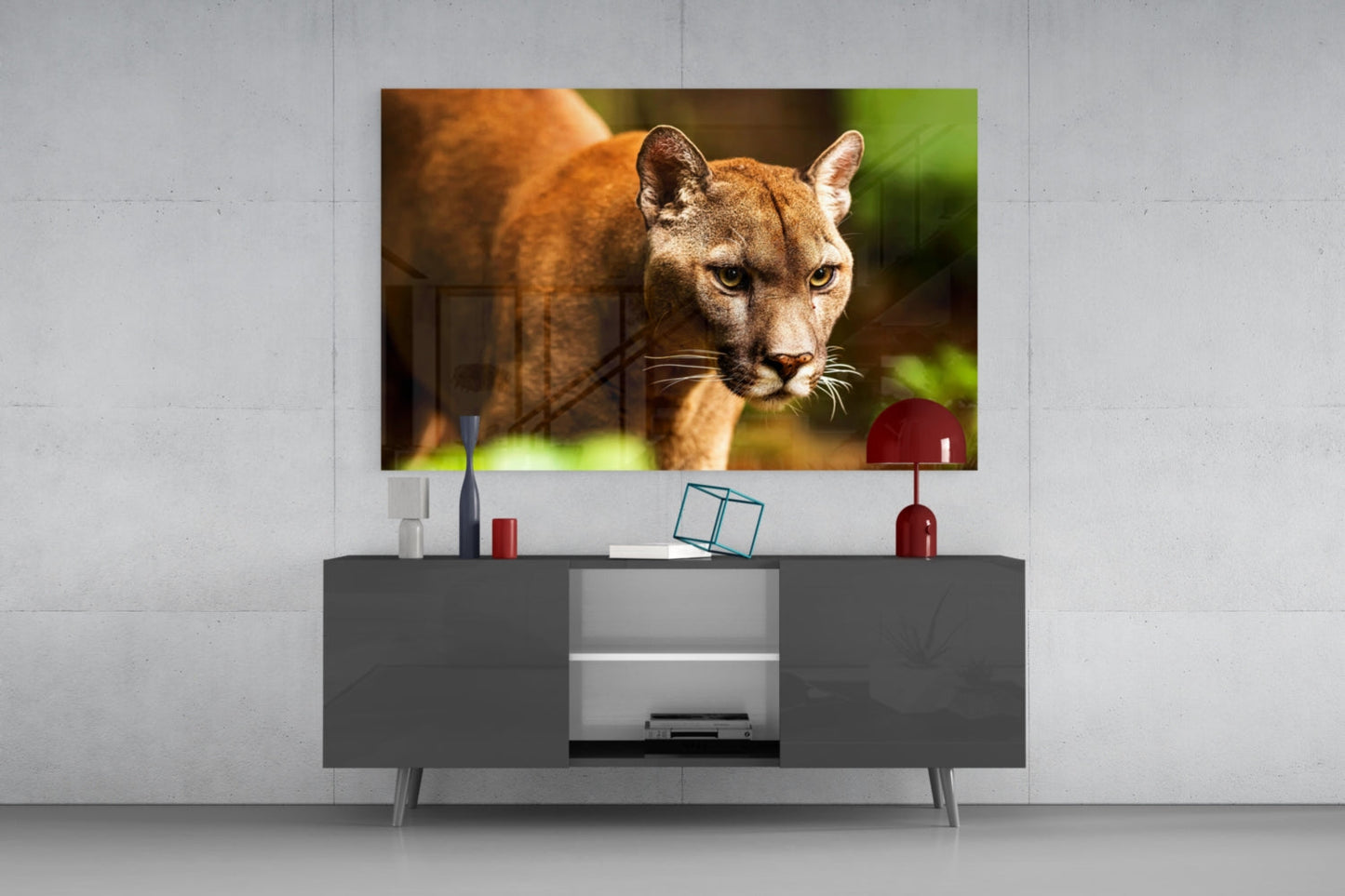 Puma Cam Tablo