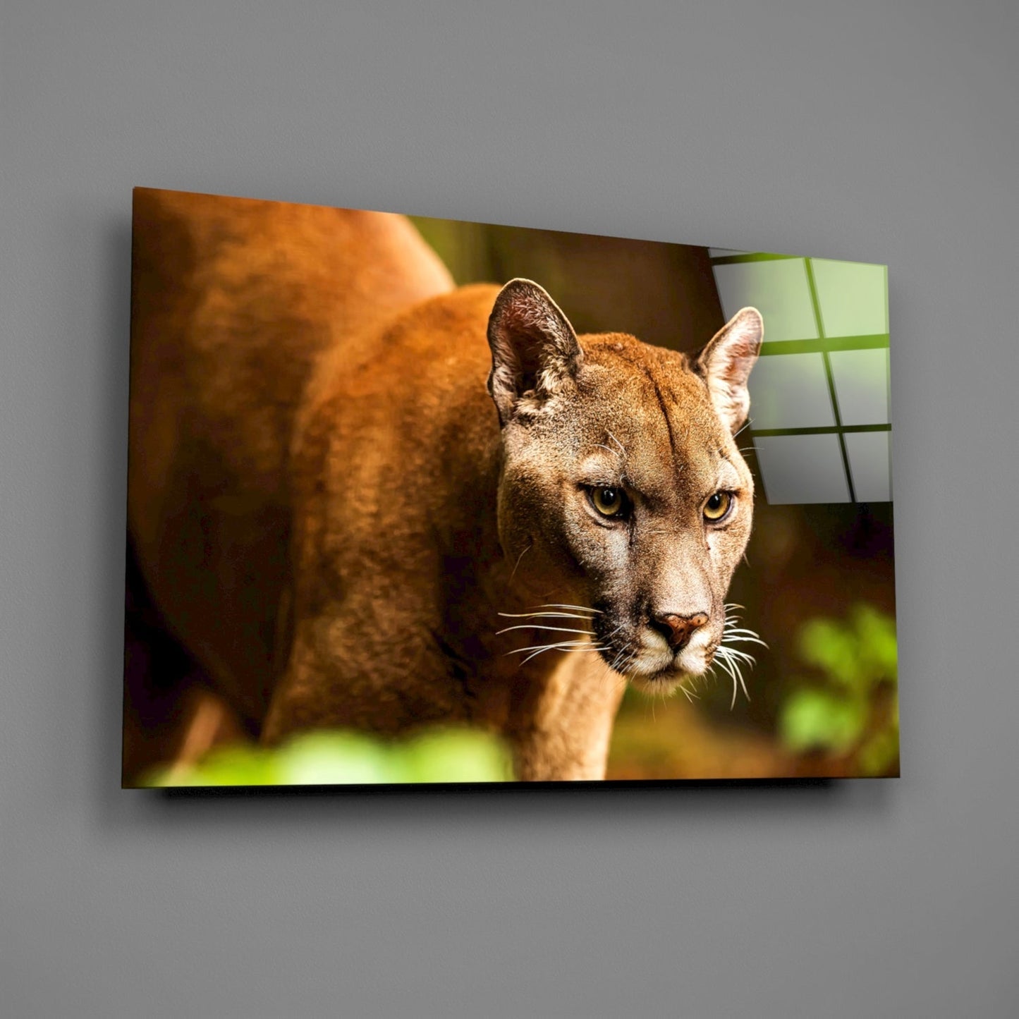 Puma Cam Tablo
