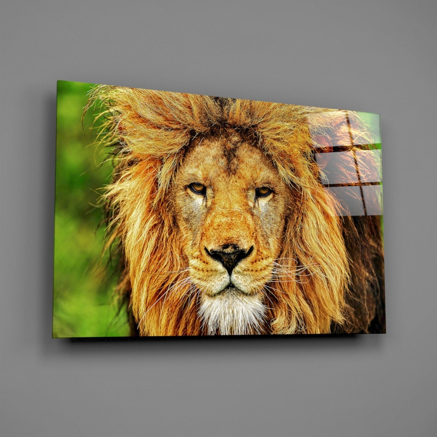 Aslan Cam Tablo