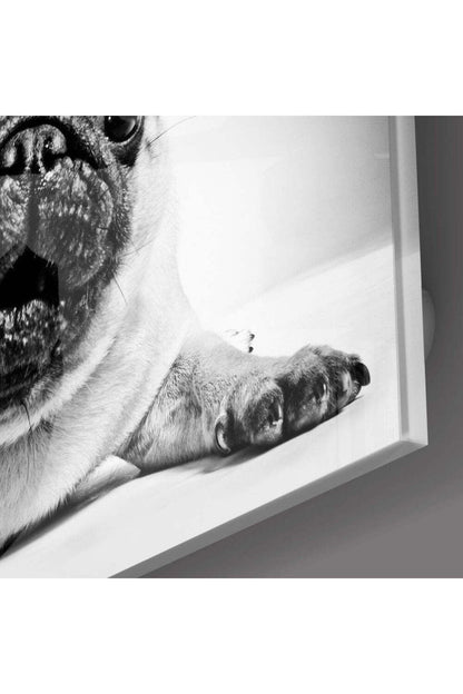 Pug Cam Tablo