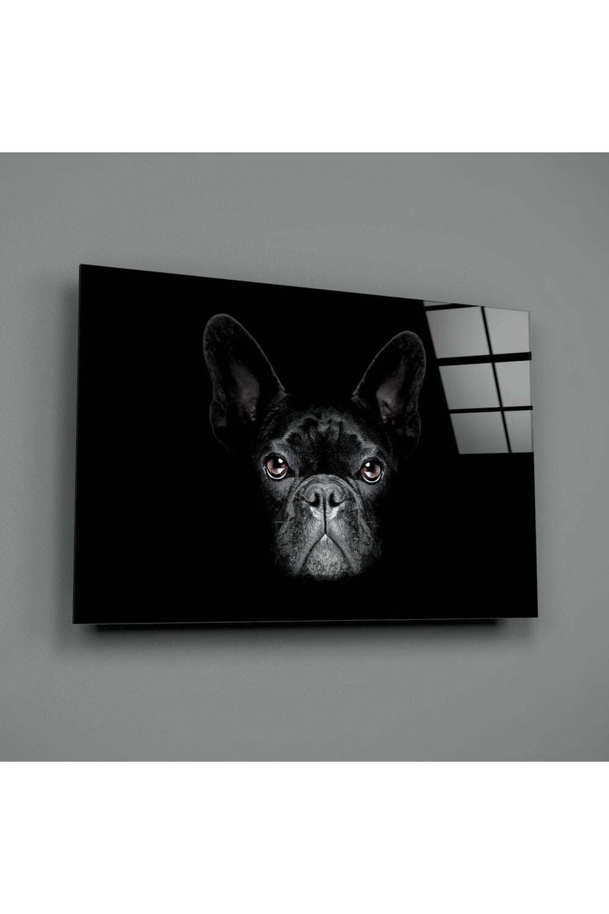 Köpek Cam Tablo
