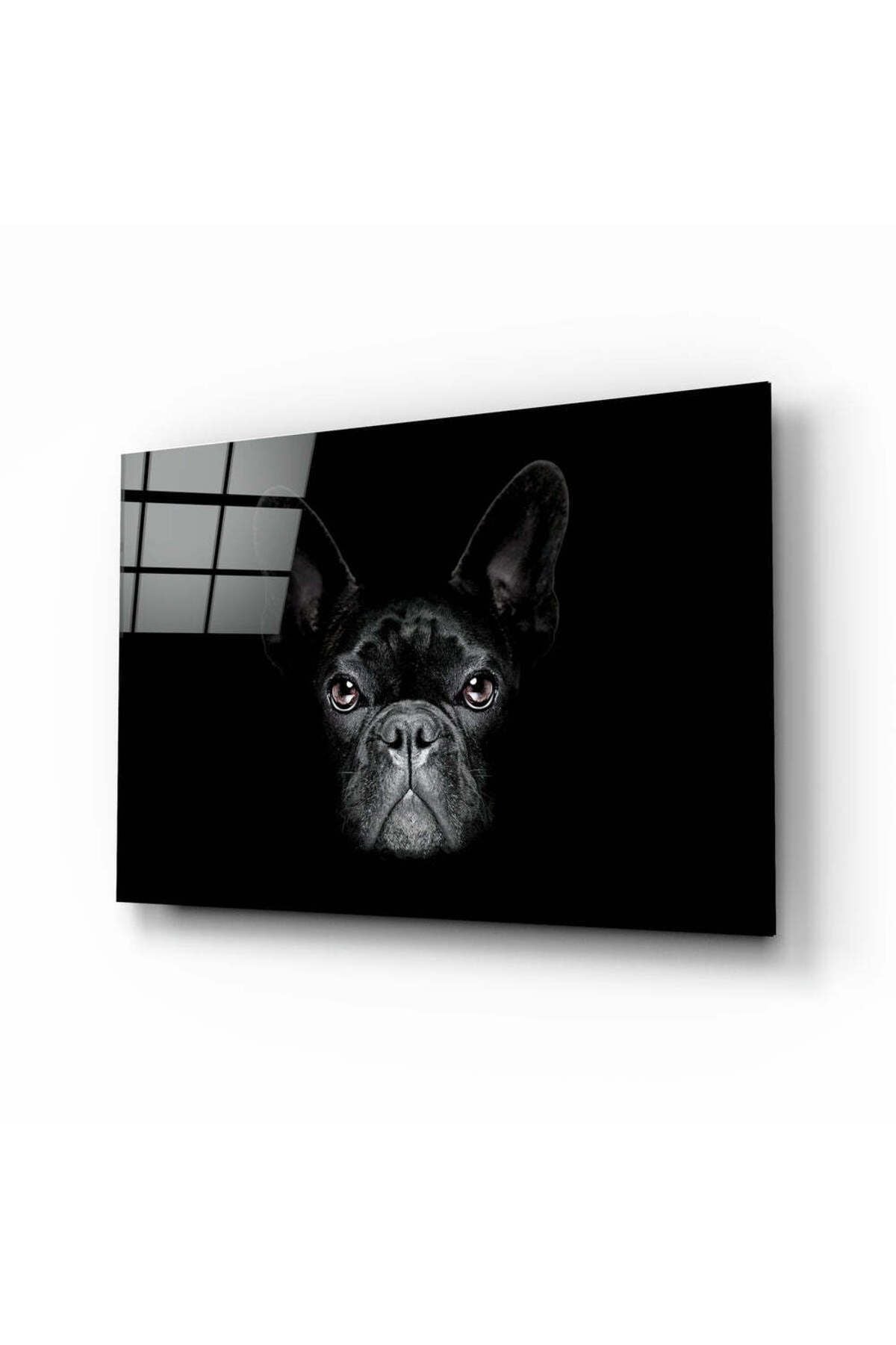 Köpek Cam Tablo