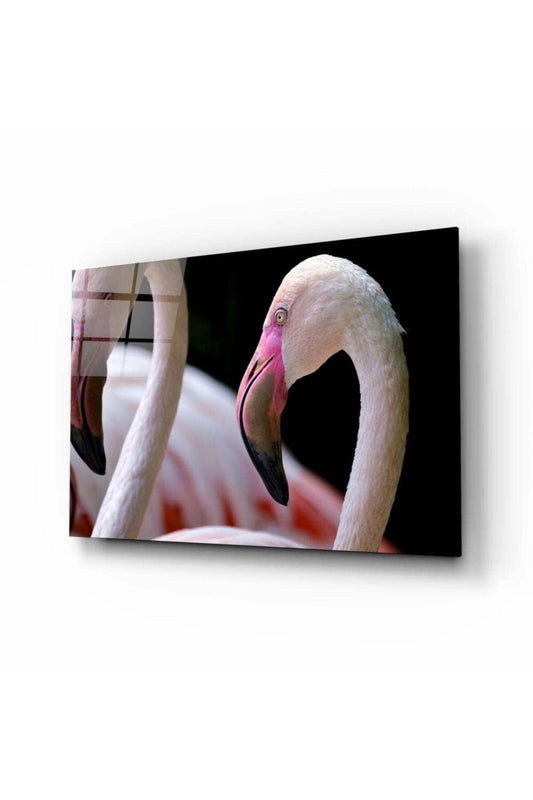 Flamingo Cam Tablo