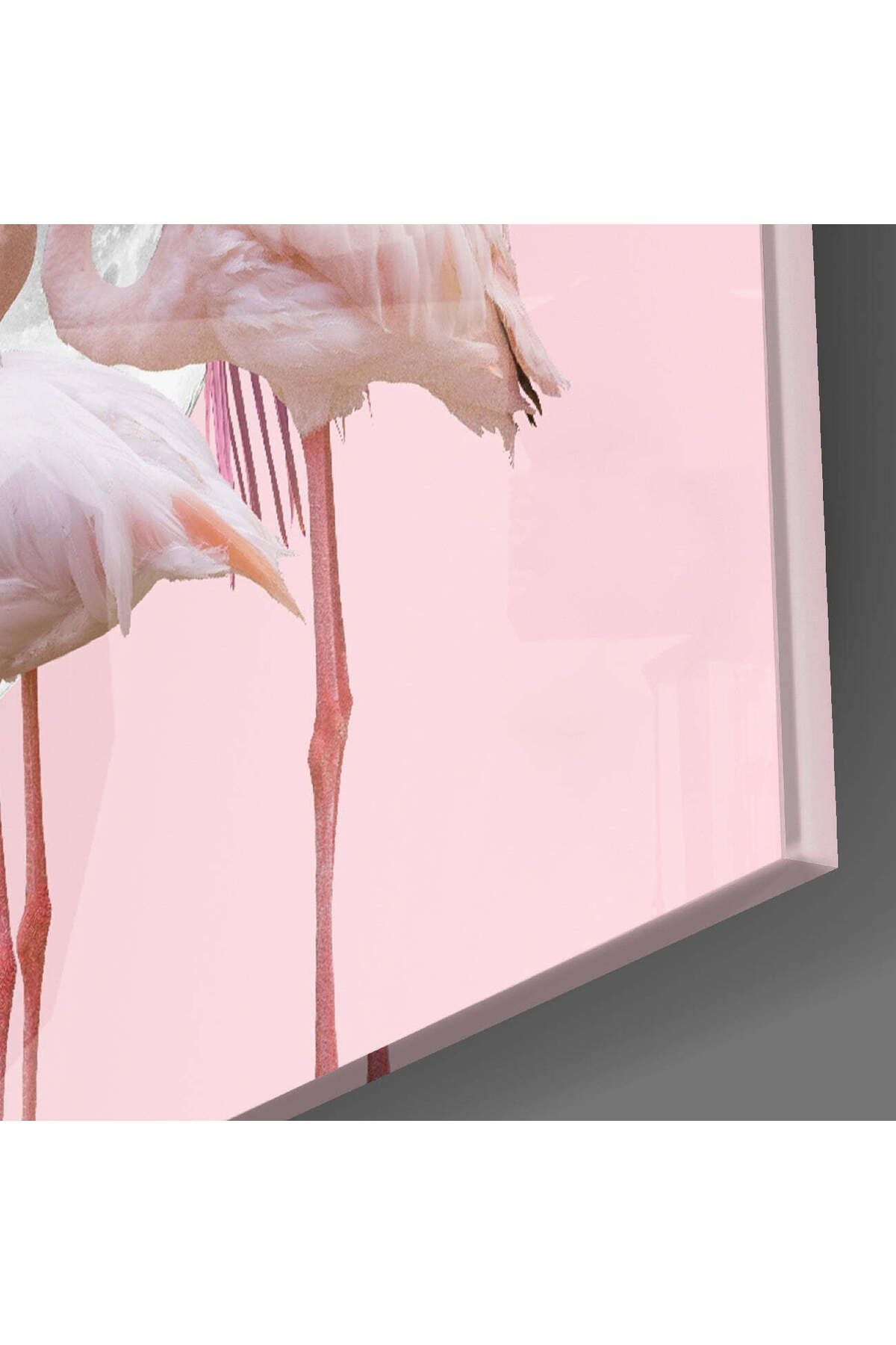 Flamingo Cam Tablo