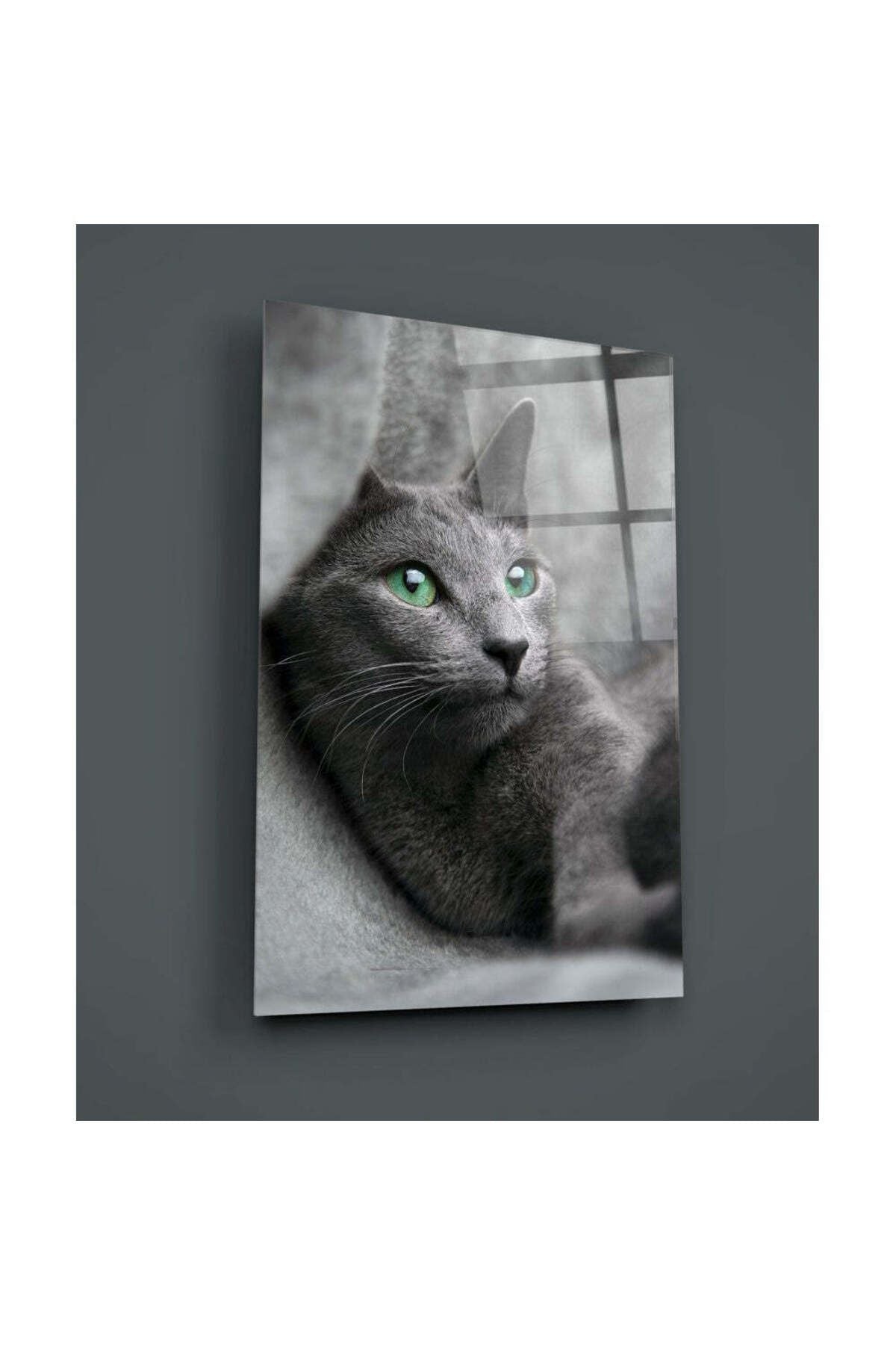 Kedi Cam Tablo