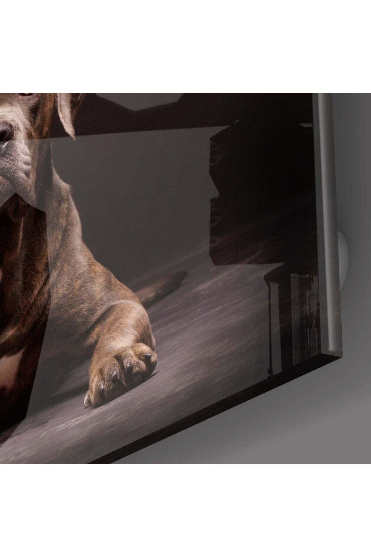 Köpek Cam Tablo