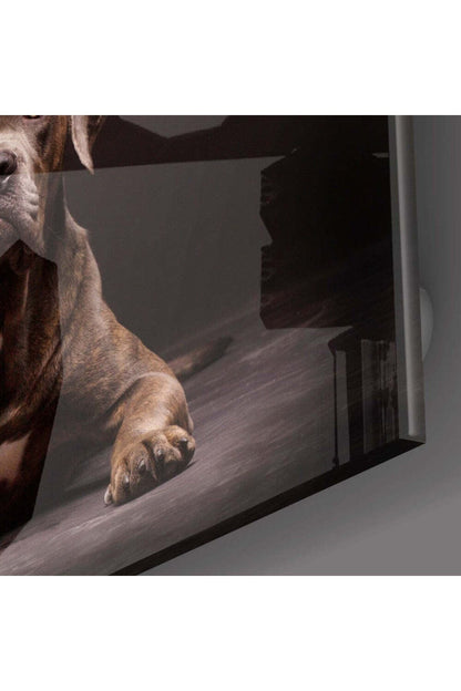Köpek Cam Tablo