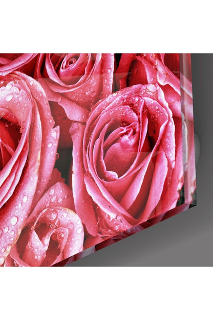 Pembe Gül Cam Tablo