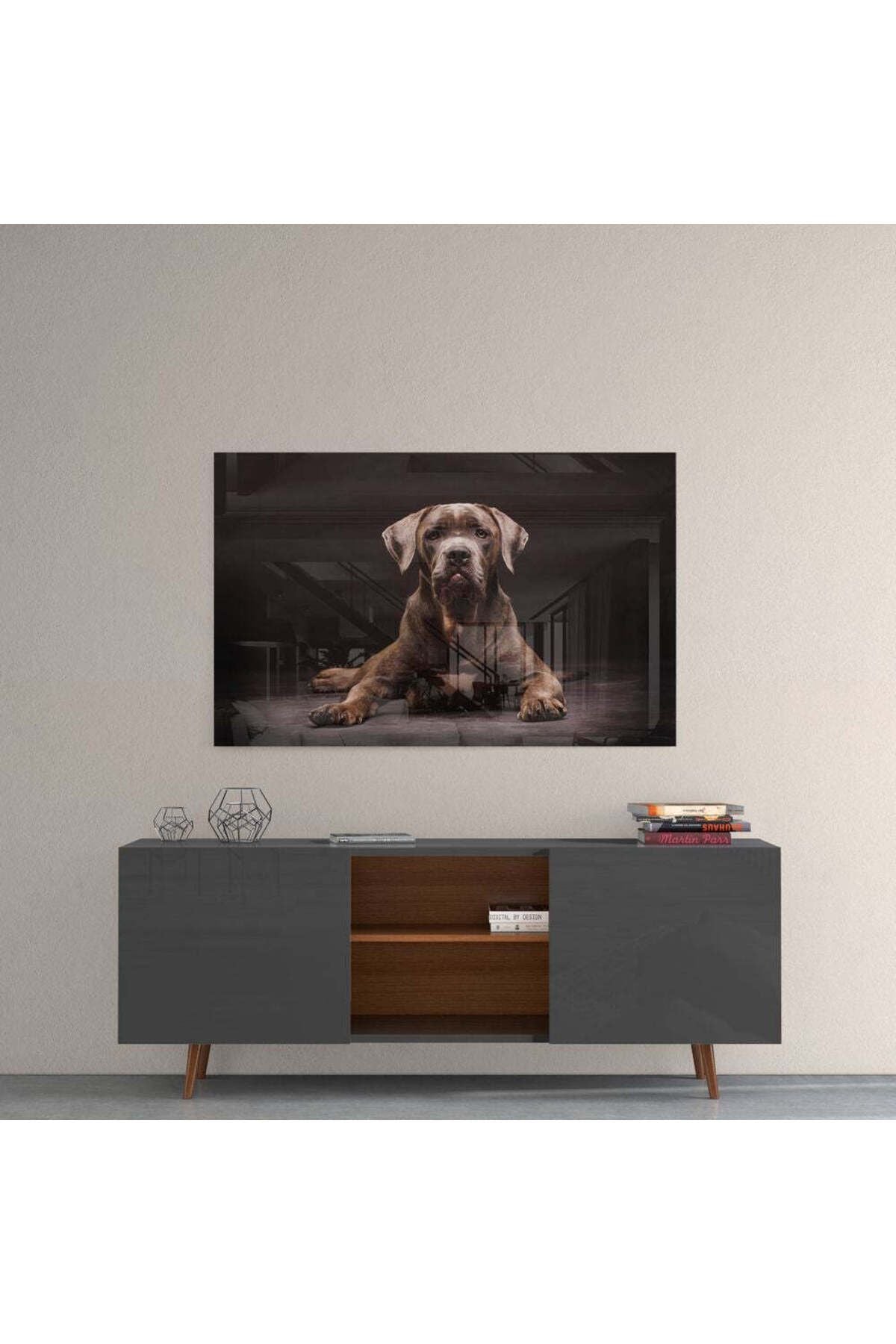 Köpek Cam Tablo