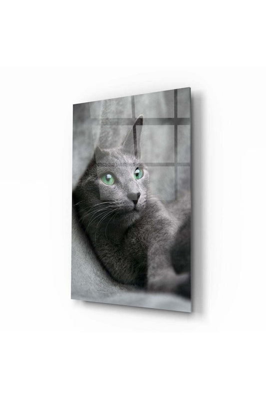Kedi Cam Tablo