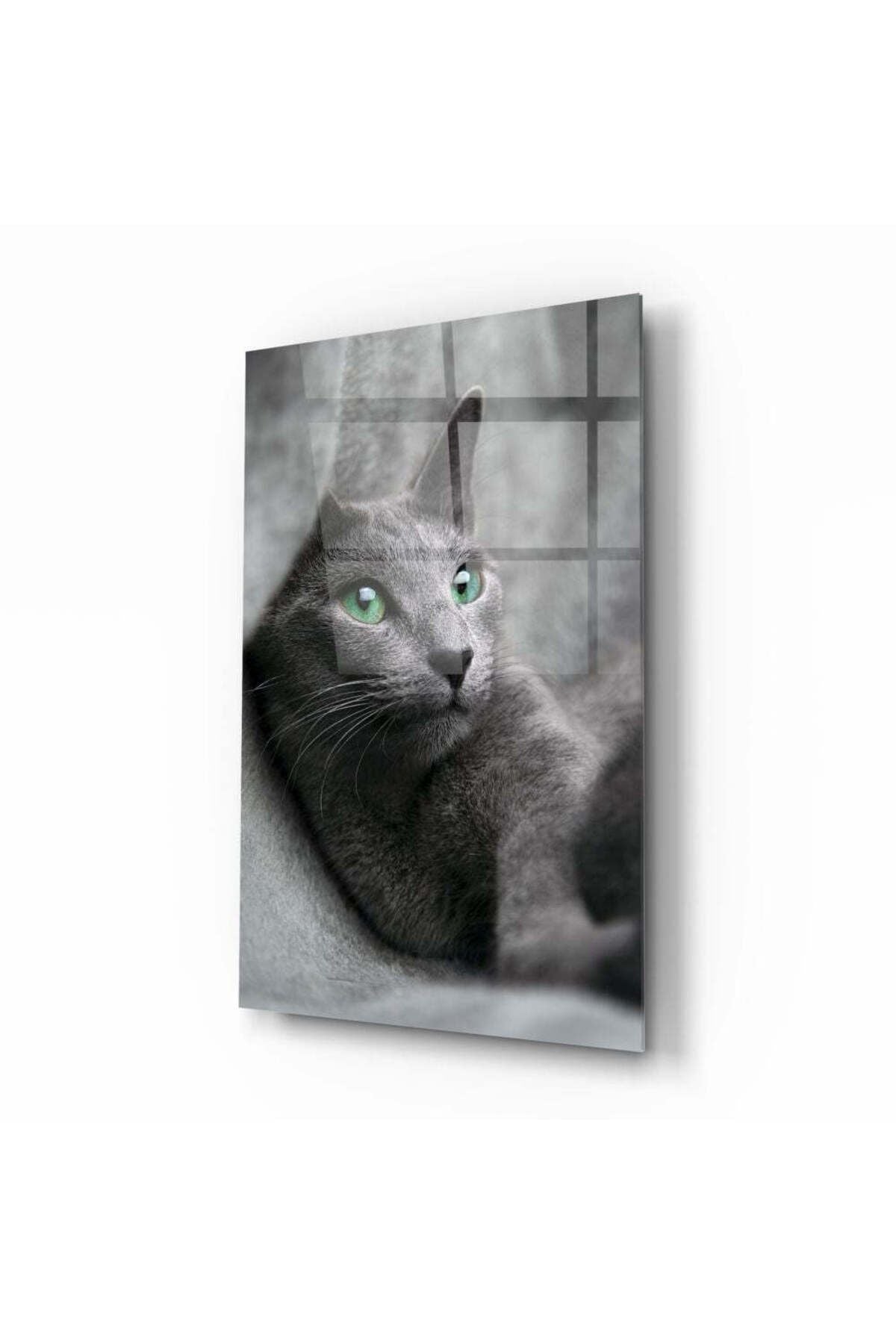 Kedi Cam Tablo