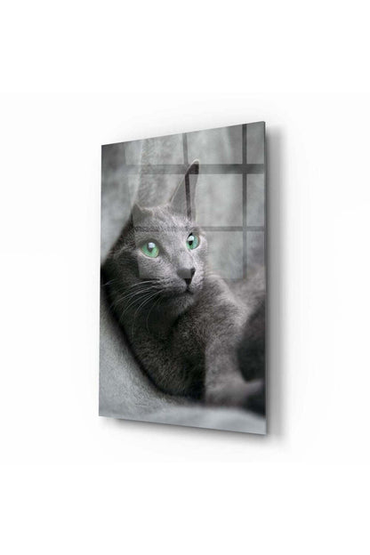 Kedi Cam Tablo