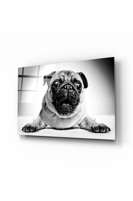 Pug Cam Tablo