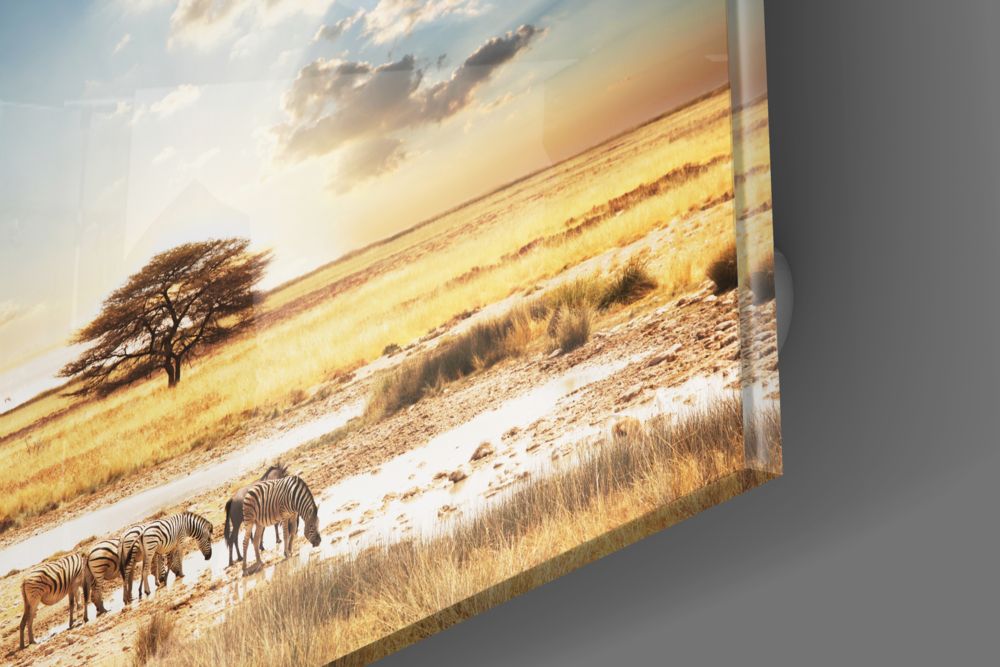 Afrika (Geniş Çayır) Cam Tablo