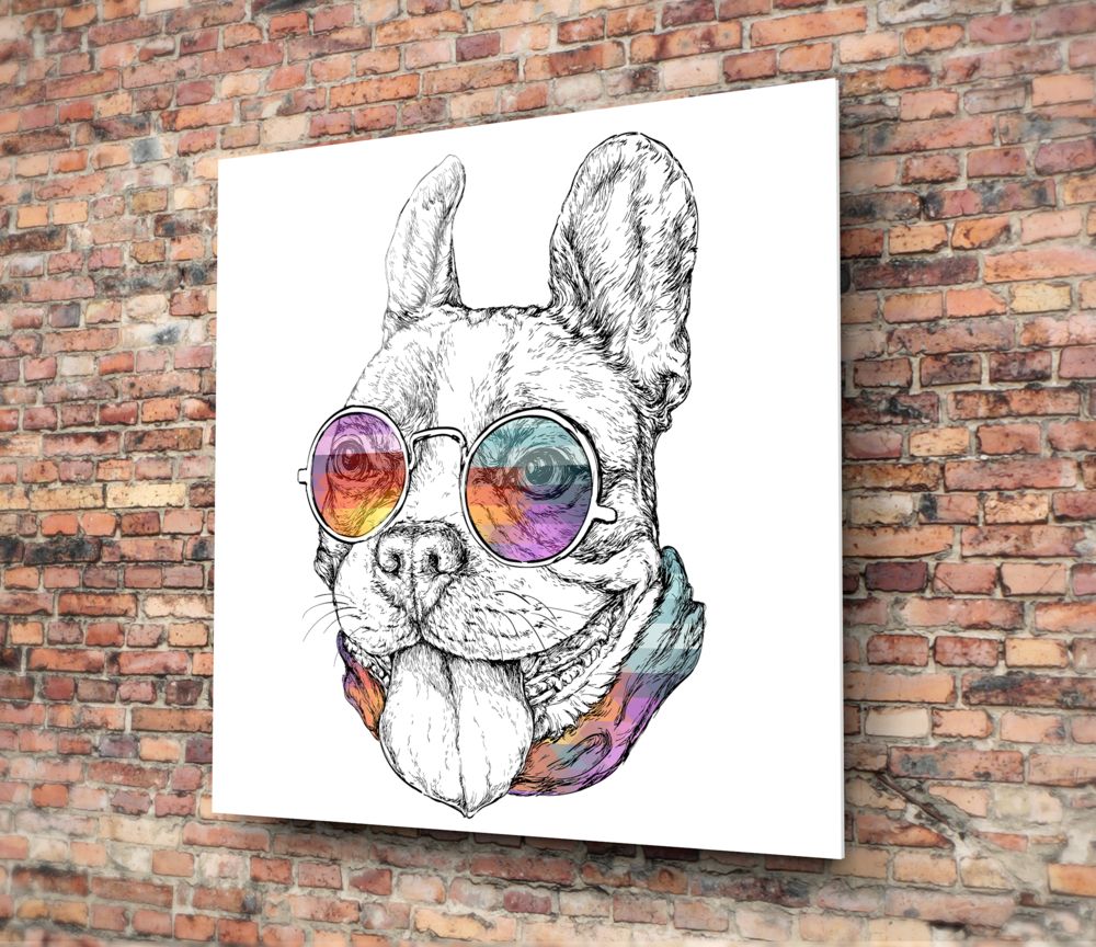 Köpek Cam Tablo