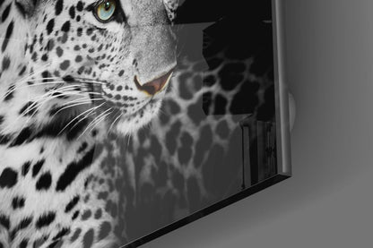 Leopar Cam Tablo