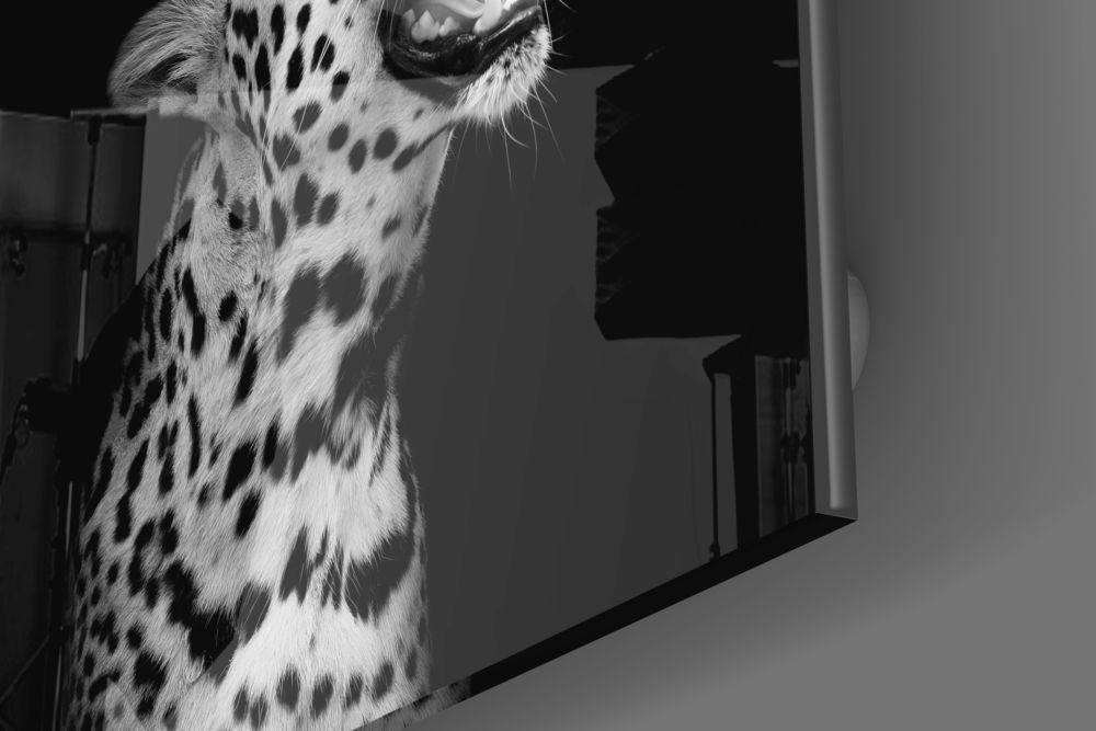 Leopar Cam Tablo