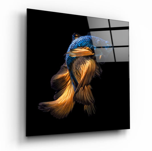Betta Balık Cam Tablo