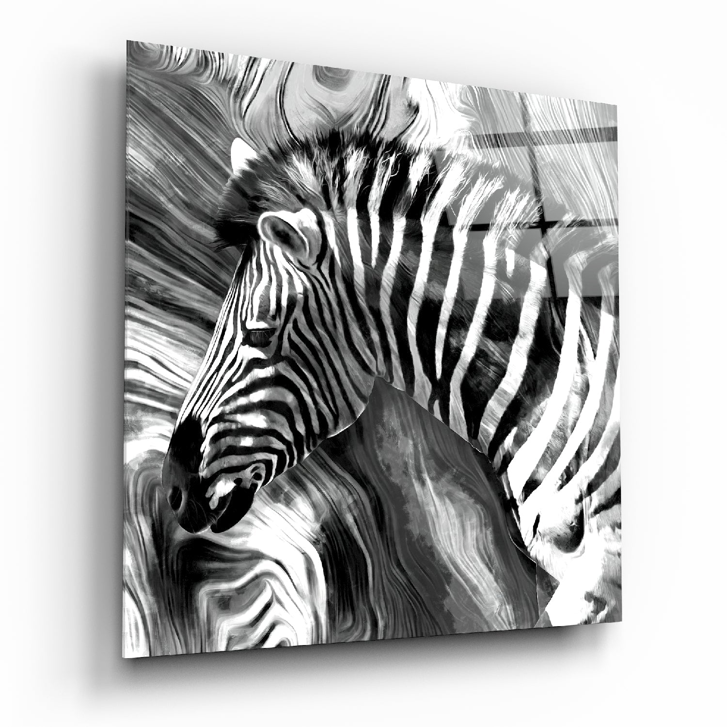 Zebra Cam Tablo